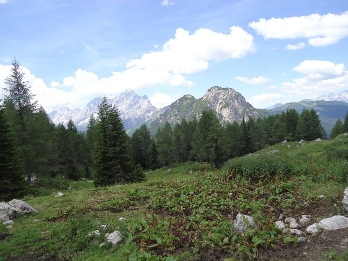 Sweet Home Cortina d'Ampezzo Exterior foto